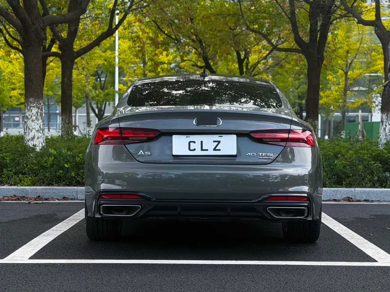 Audi A5 (Imported) 2023 A5 Sportback 2.0TFSI 40TFSI Quattro Luxury Dynamic Automatic Gear 18