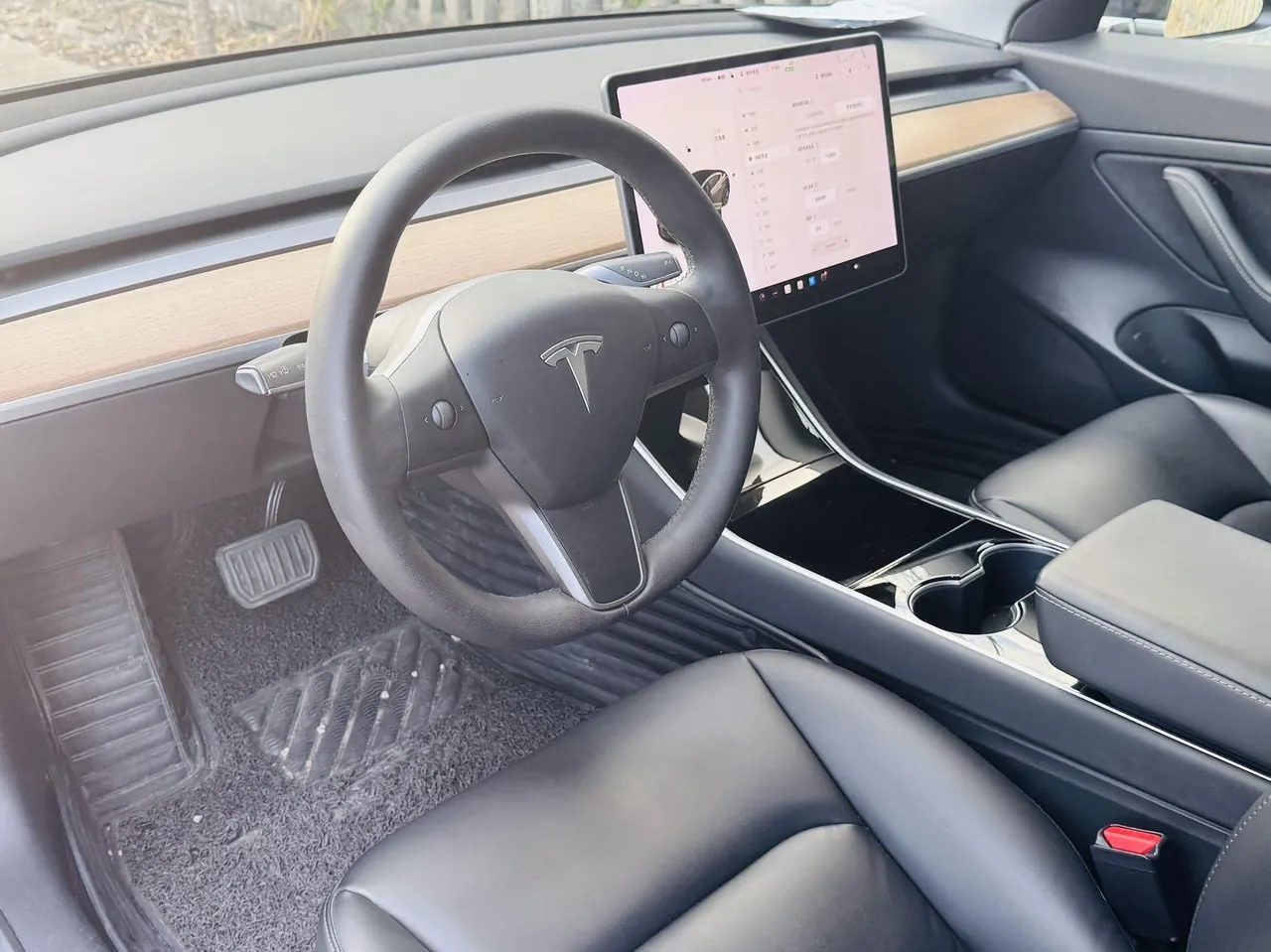 Tesla 2020 Model 3 Standard Endurance Rear Drive Upgraded Automatic Gear 4