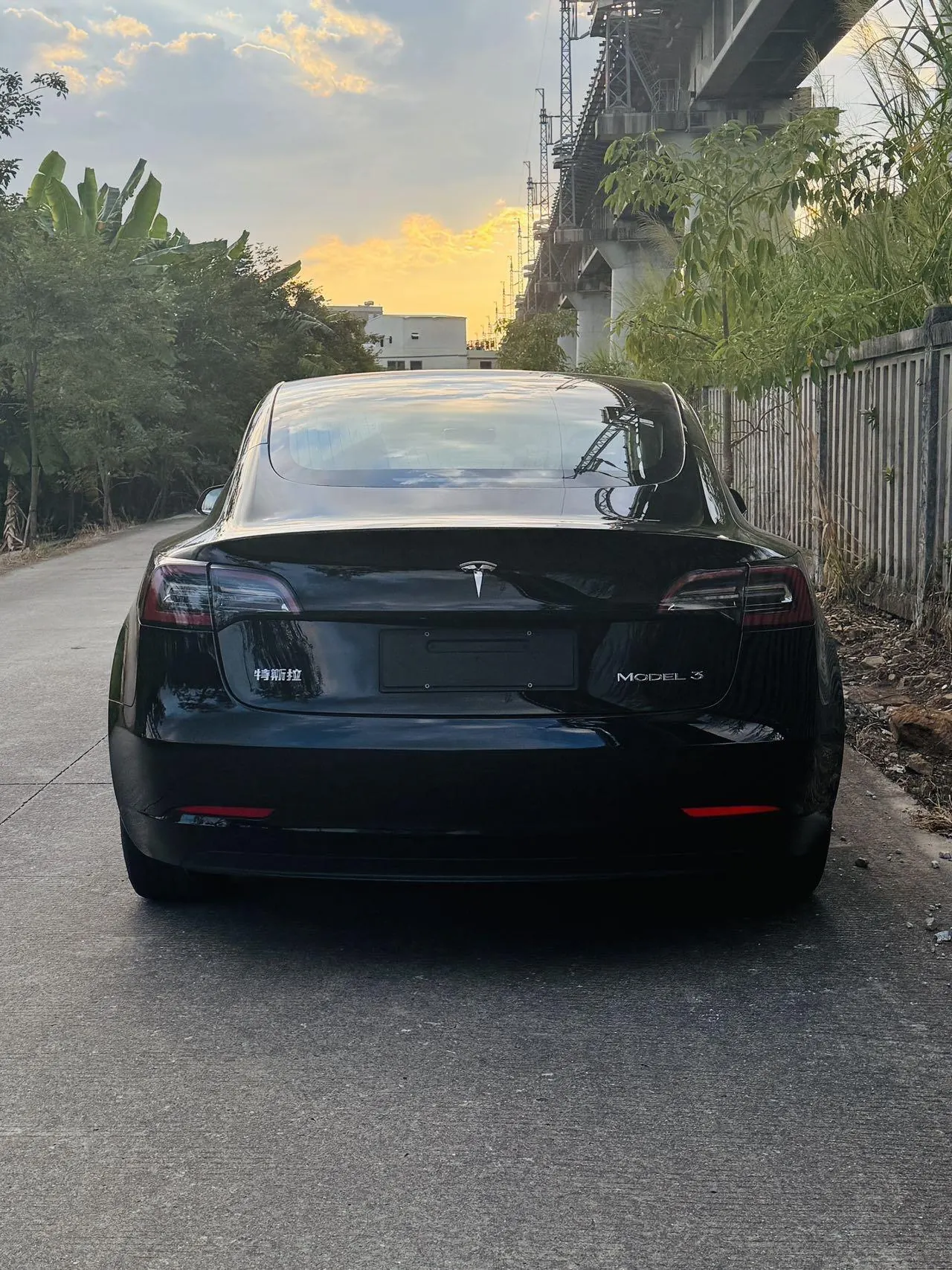 Tesla 2020 Model 3 Standard Endurance Rear Drive Upgraded Automatic Gear 8