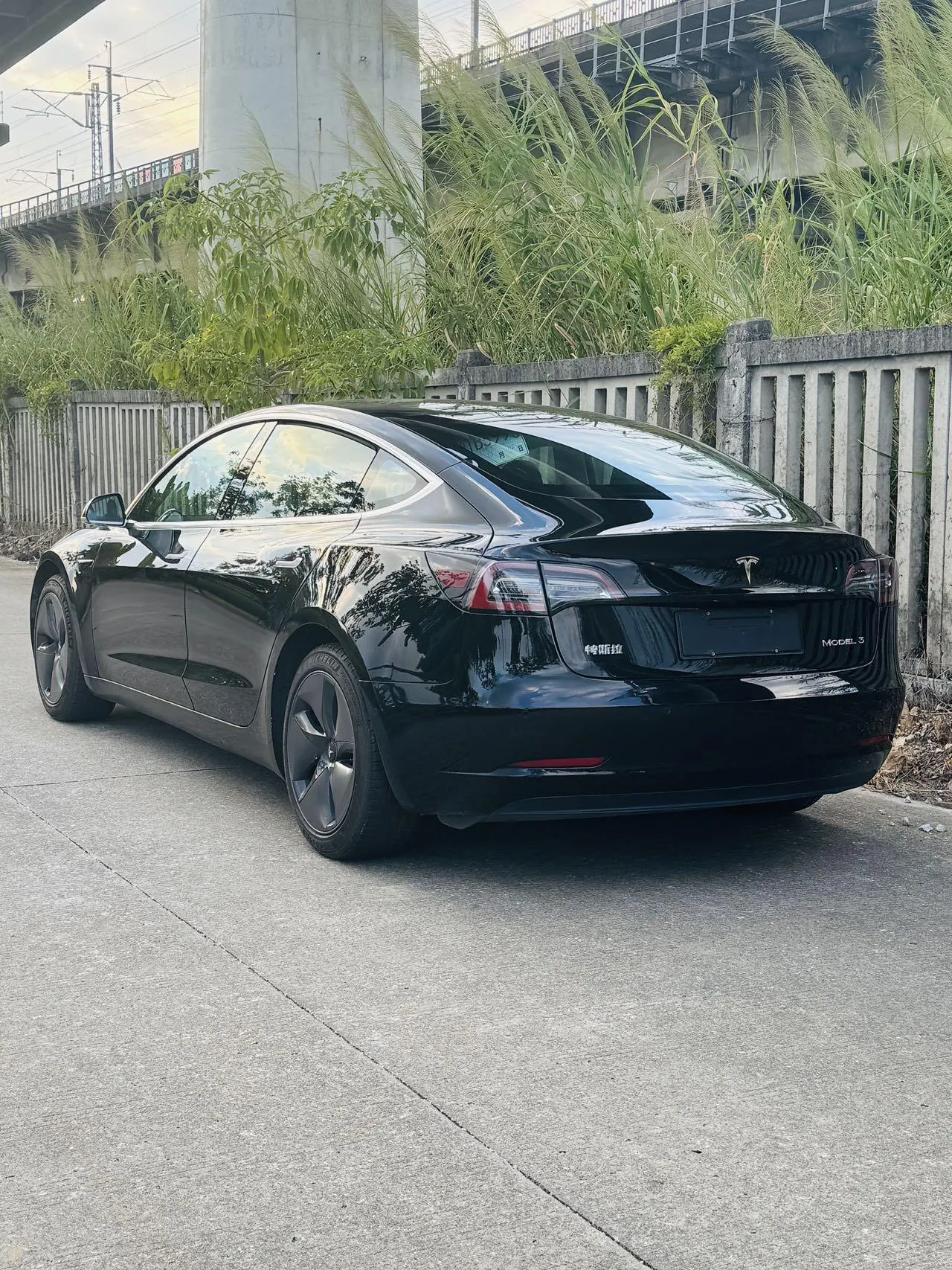 Tesla 2020 Model 3 Standard Endurance Rear Drive Upgraded Automatic Gear 9