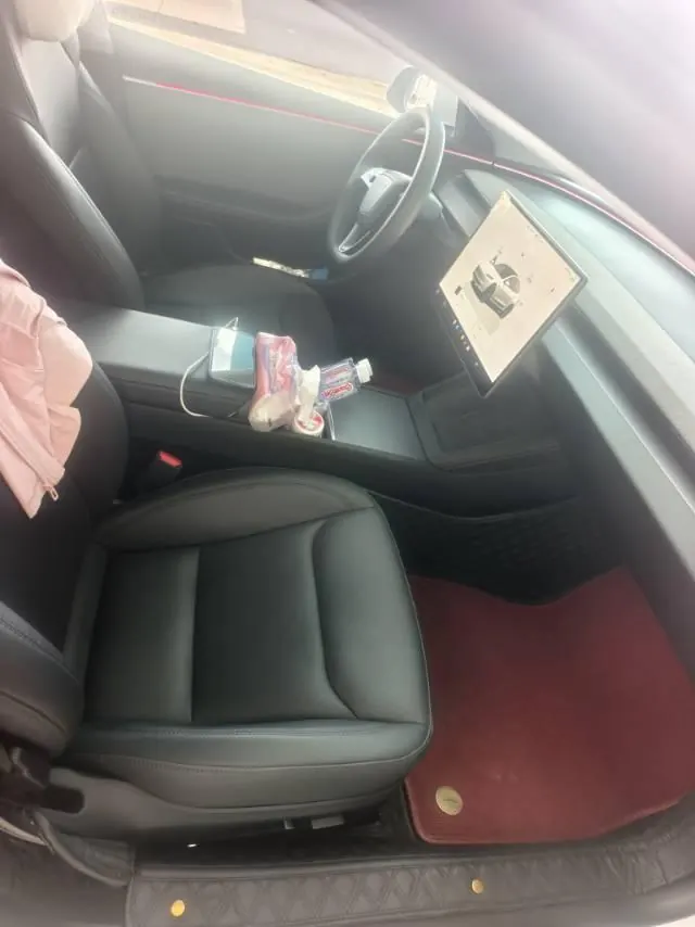 Tesla 2023 Model 3 Rejuvenation Edition Rear Wheel Drive Automatic Transmission 4