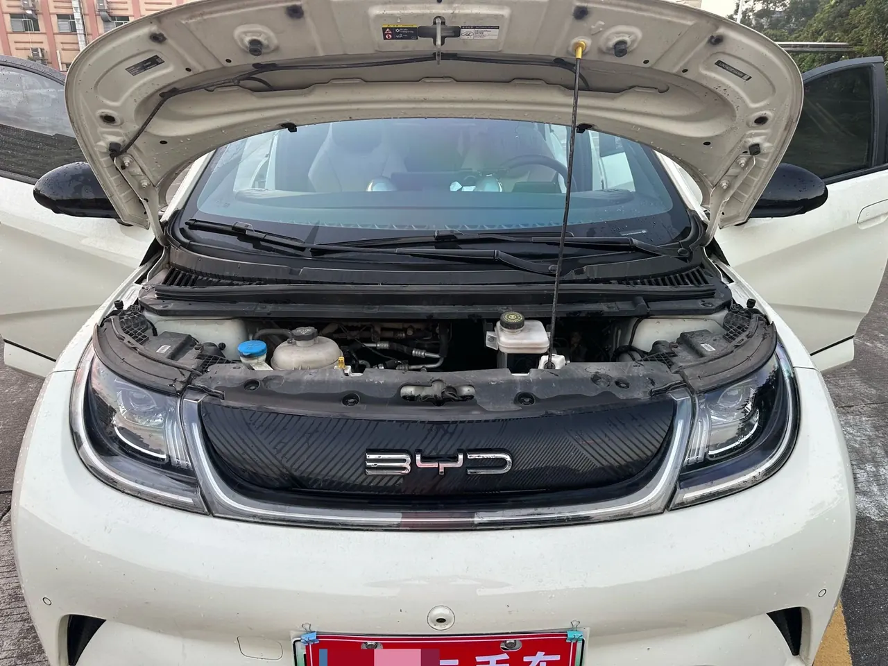 BYD 2023 Dolphin 420km Fashion Edition Automatic 13