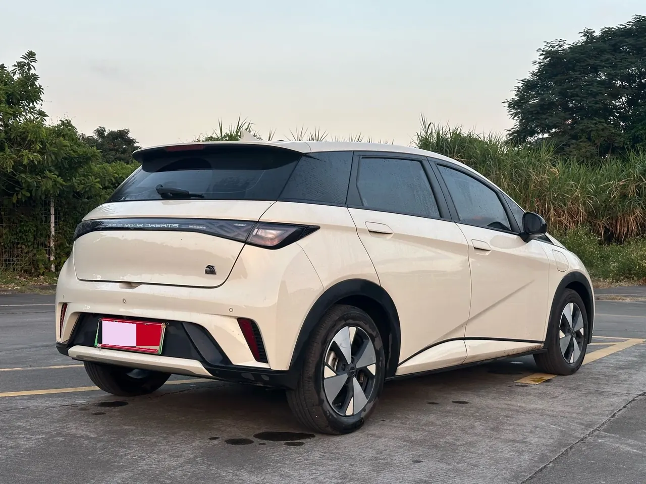 BYD 2023 Dolphin 420km Fashion Edition Automatic 15