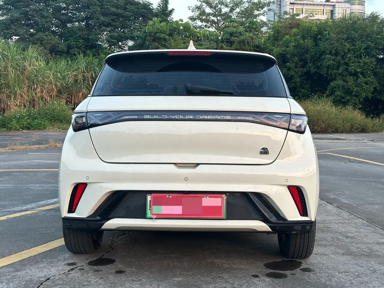 BYD 2023 Dolphin 420km Fashion Edition Automatic 16