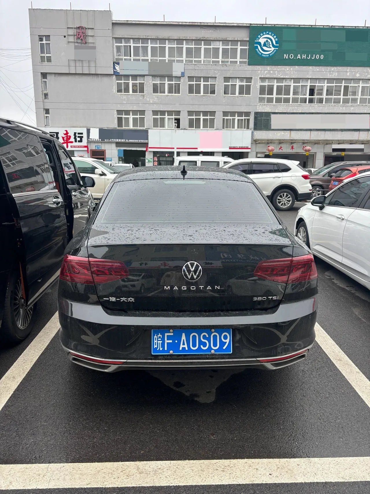 Volkswagen 2026 Magotan 2.0TSI 380TSI 30 million selected luxury automatic gear 9