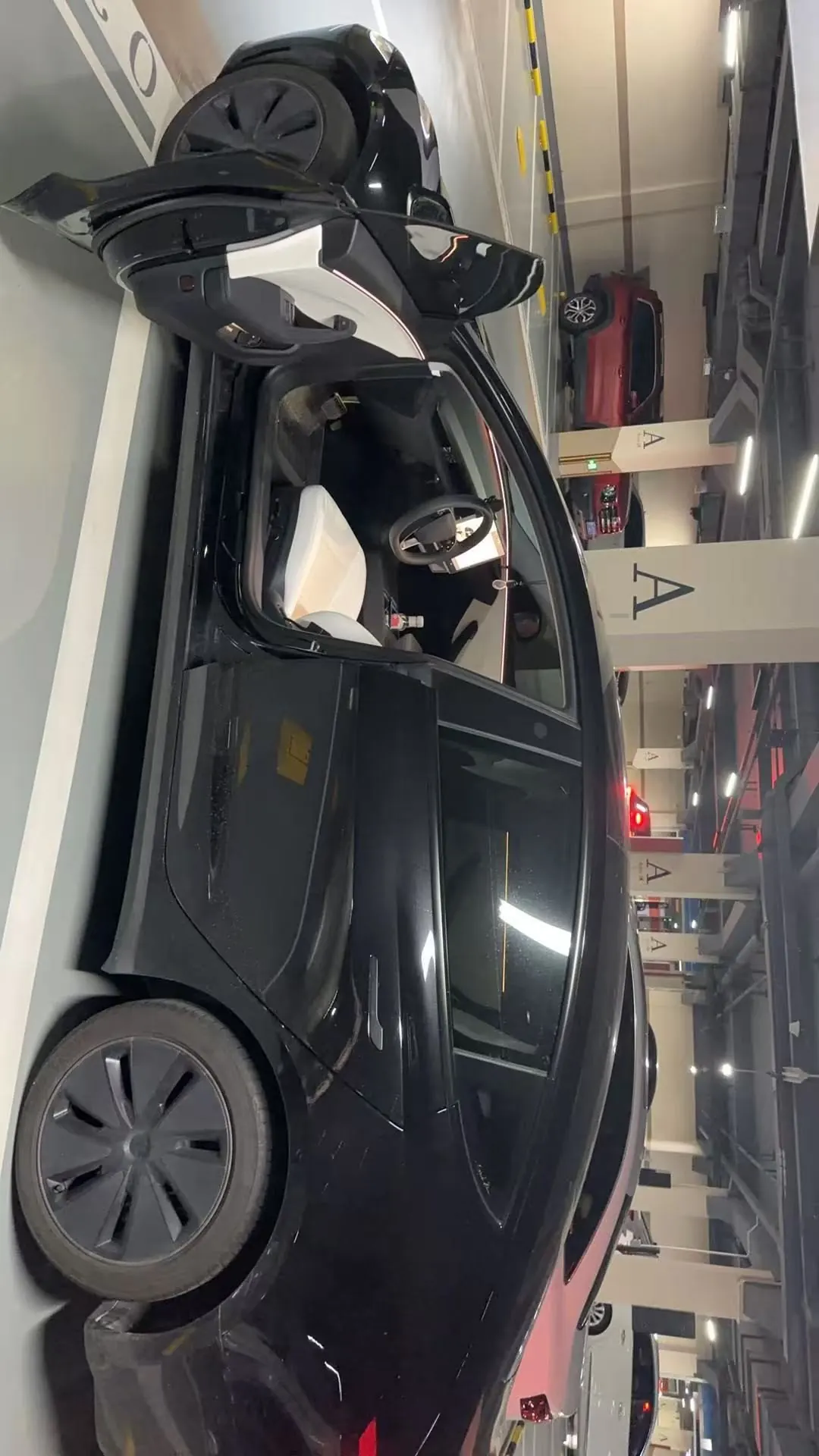Tesla 2025 Model 3 Rear-Wheel-Drive Edition (facelift) Automatic Transmission 4