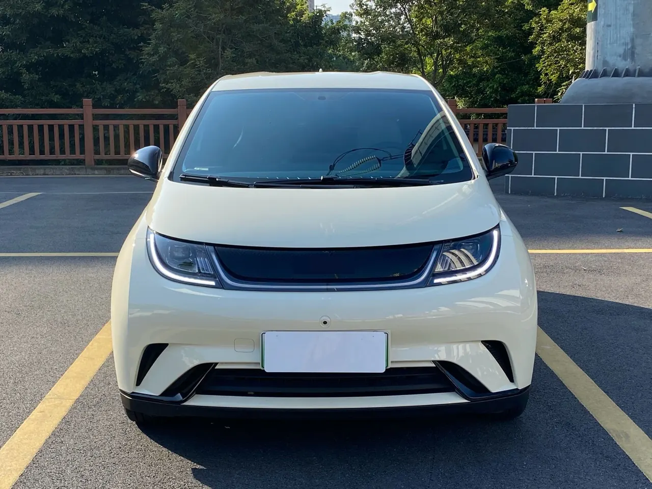 BYD 2025 Dolphin Smart Driving 420km Free Automatic 2