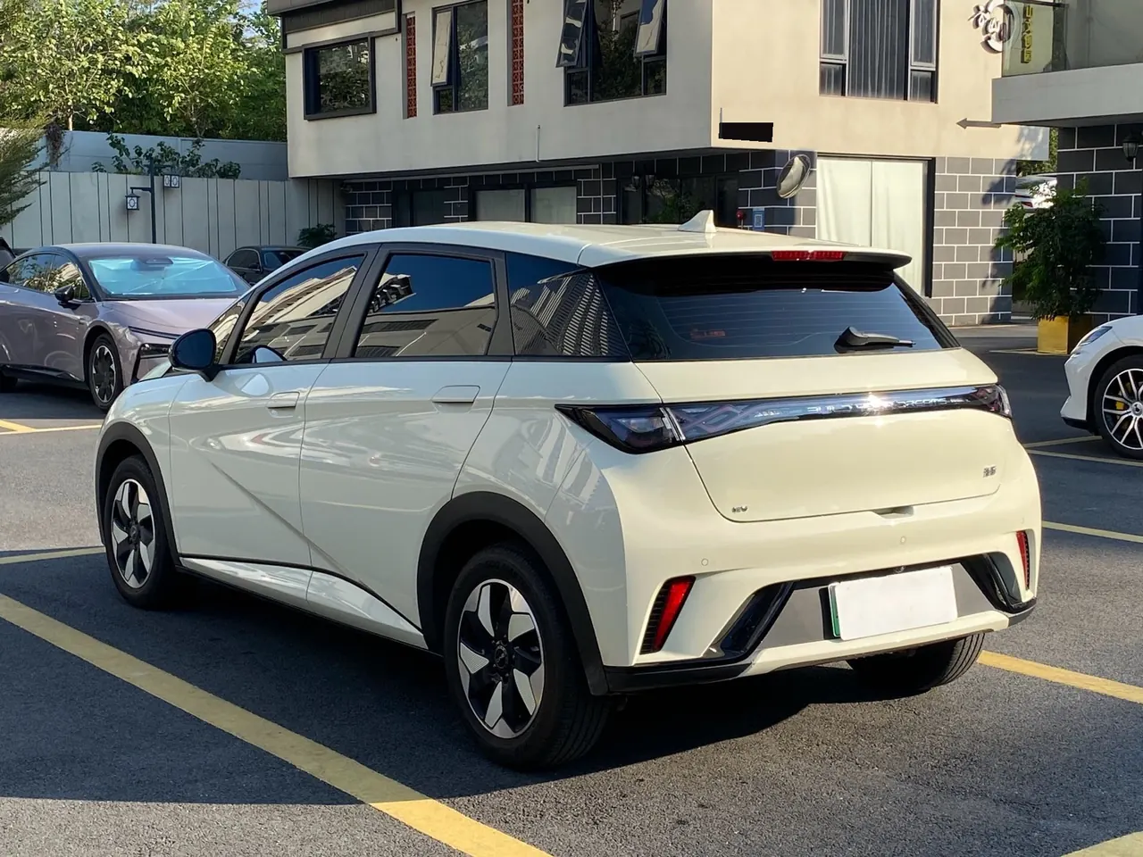 BYD 2025 Dolphin Smart Driving 420km Free Automatic 4