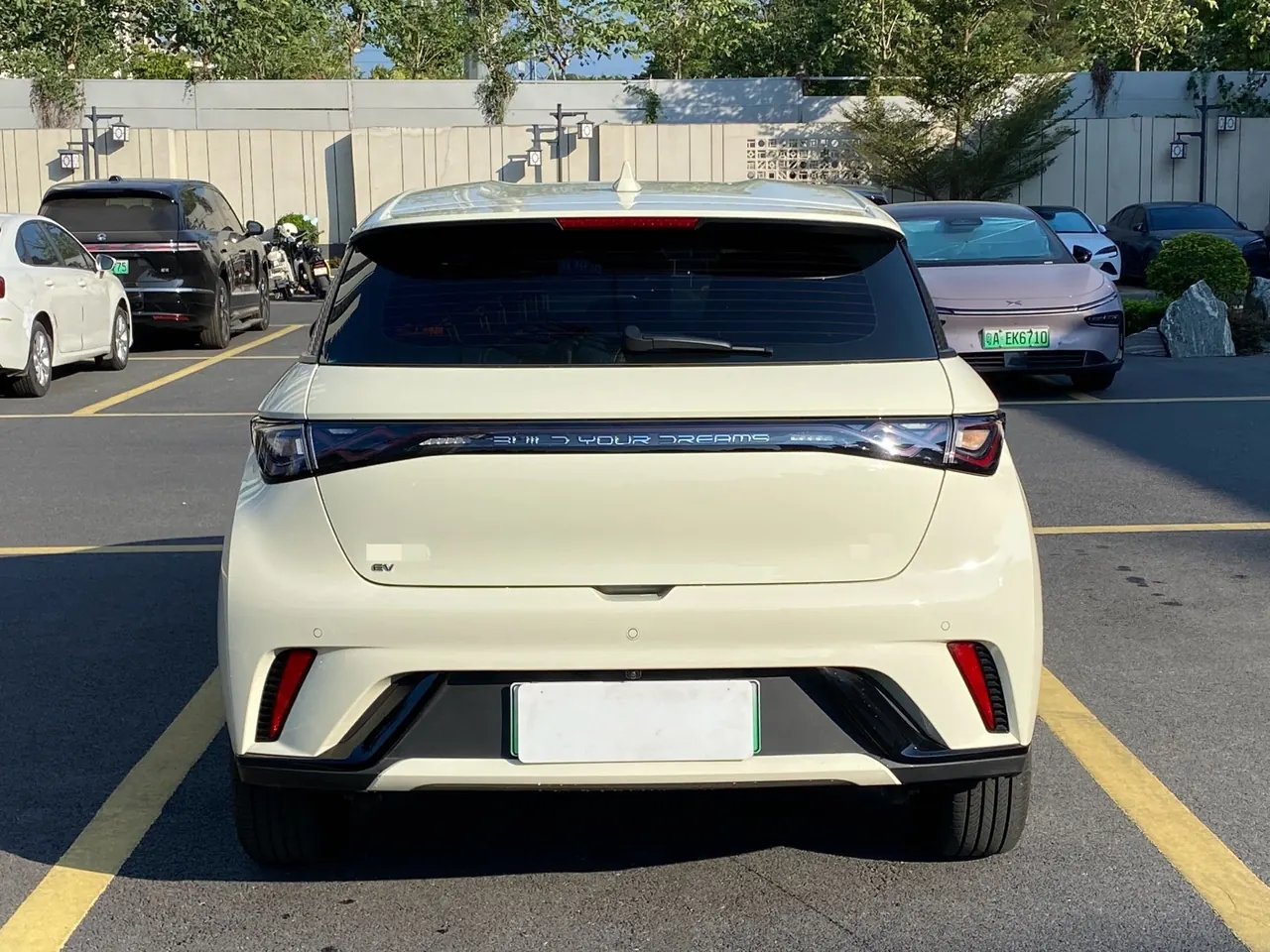 BYD 2025 Dolphin Smart Driving 420km Free Automatic 5