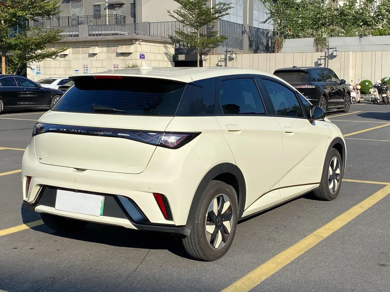 BYD 2025 Dolphin Smart Driving 420km Free Automatic 9