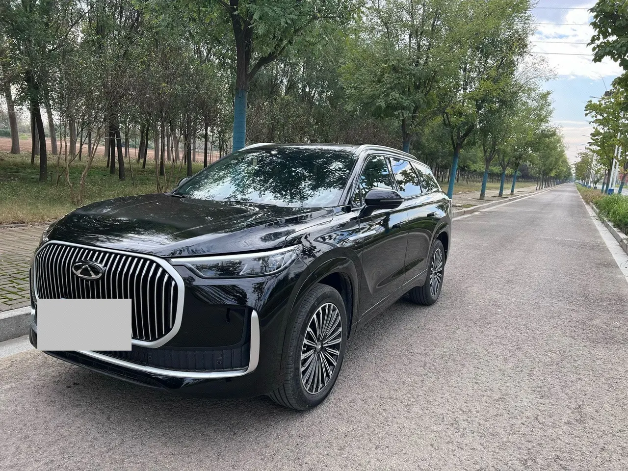 Chery 2024 Ruihu 9 2.0T Two-Drive Super Comfortable Premium Edition Automatic Gear - View 1