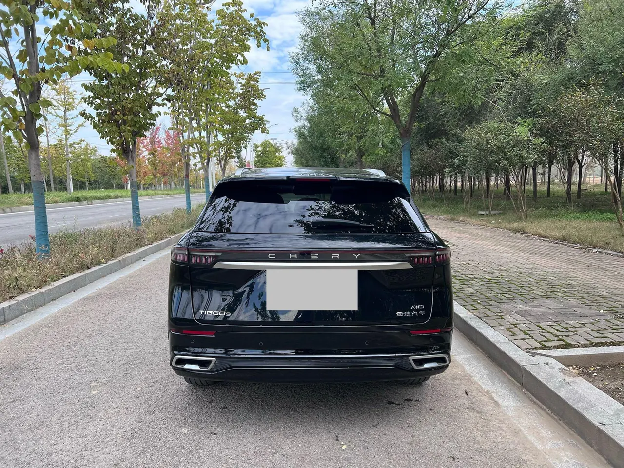 Chery 2024 Ruihu 9 2.0T Two-Drive Super Comfortable Premium Edition Automatic Gear 6