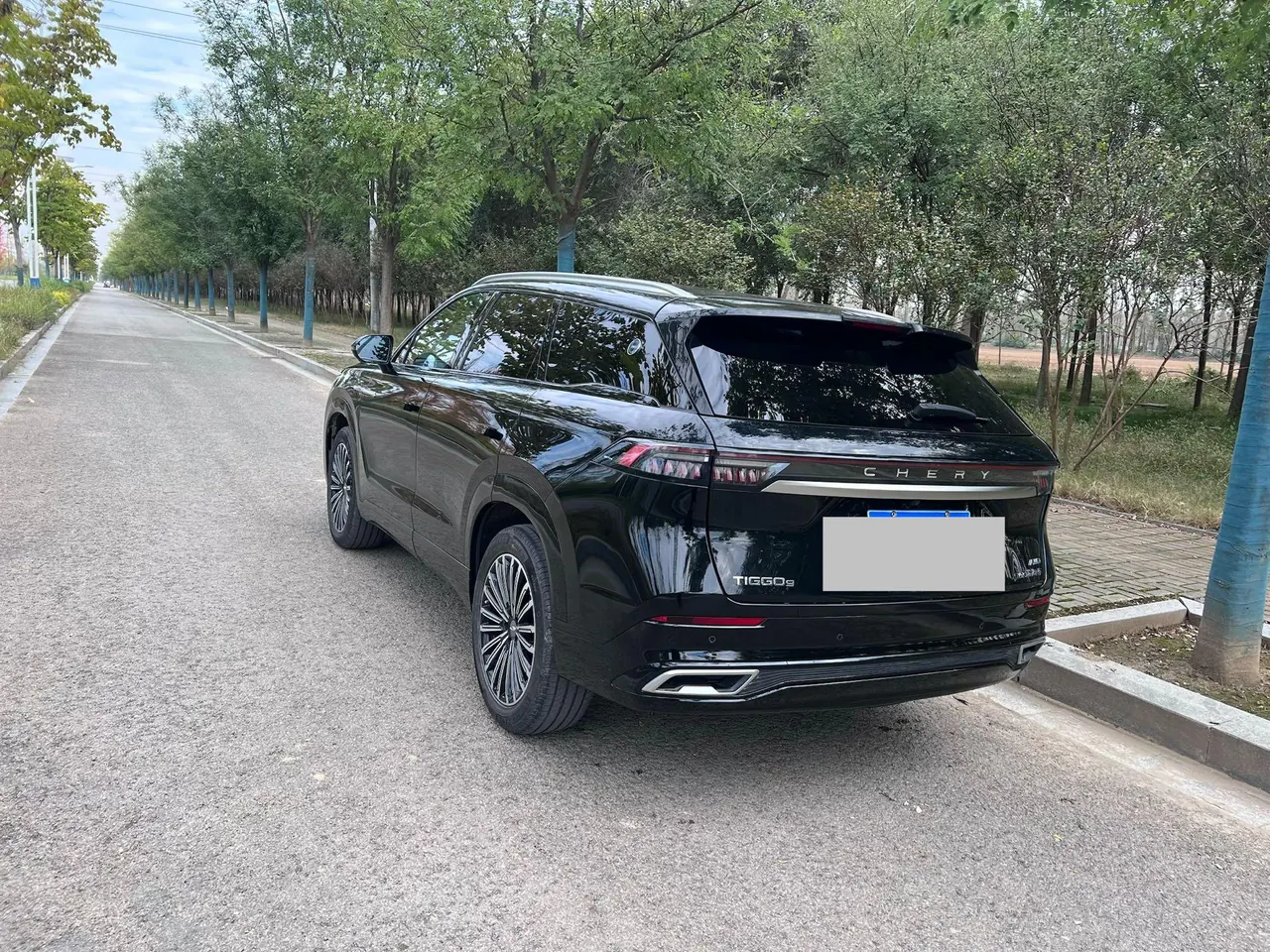 Chery 2024 Ruihu 9 2.0T Two-Drive Super Comfortable Premium Edition Automatic Gear 7