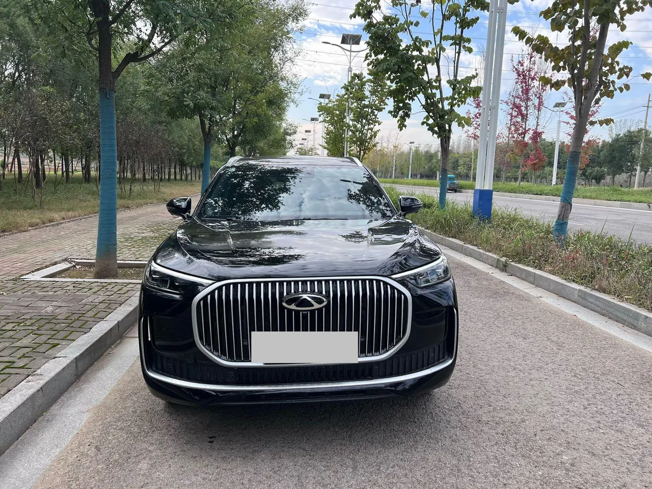Chery 2024 Ruihu 9 2.0T Two-Drive Super Comfortable Premium Edition Automatic Gear 8