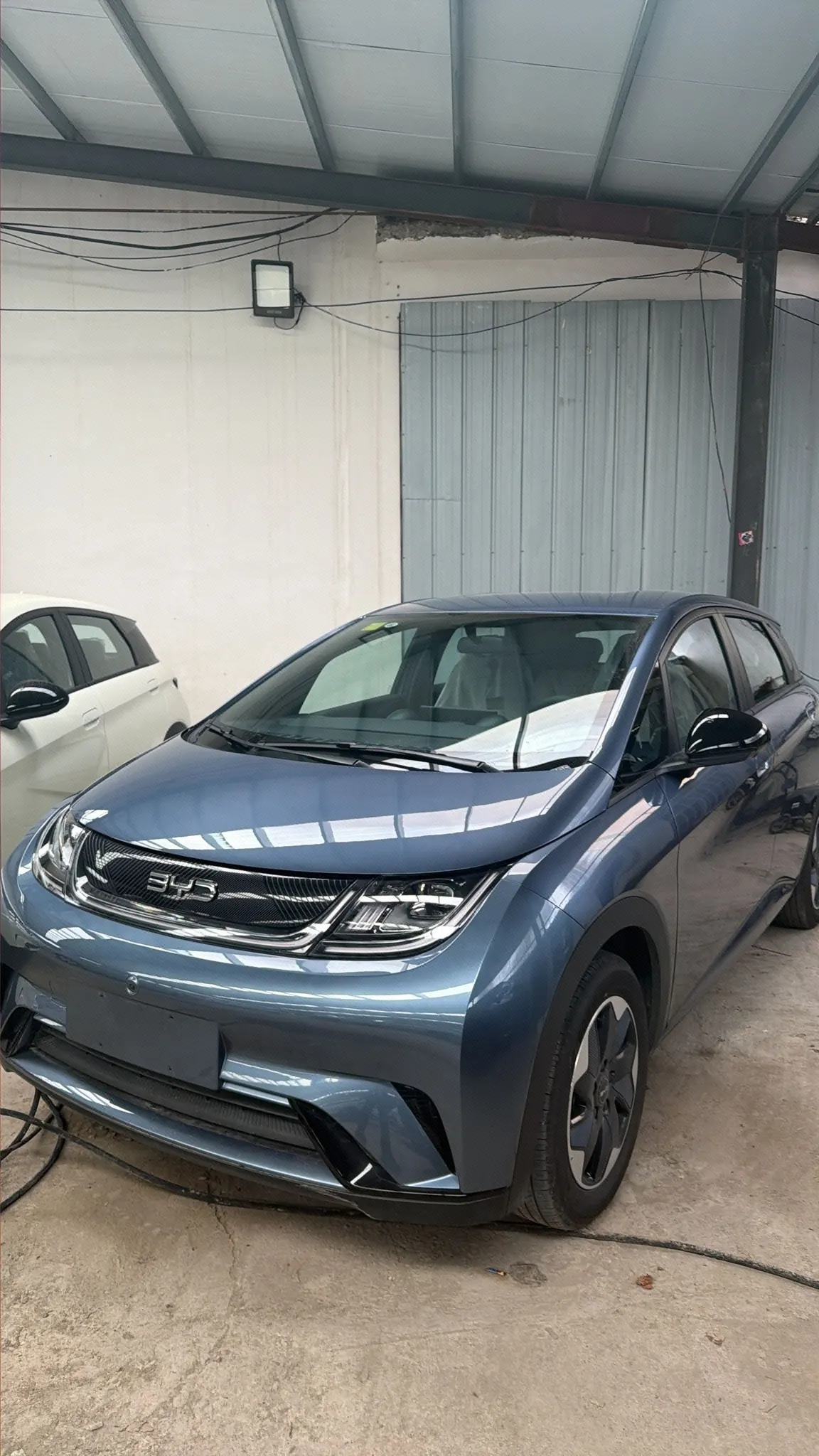 BYD 2025 Dolphins 420km Free Edition Automatic - View 1