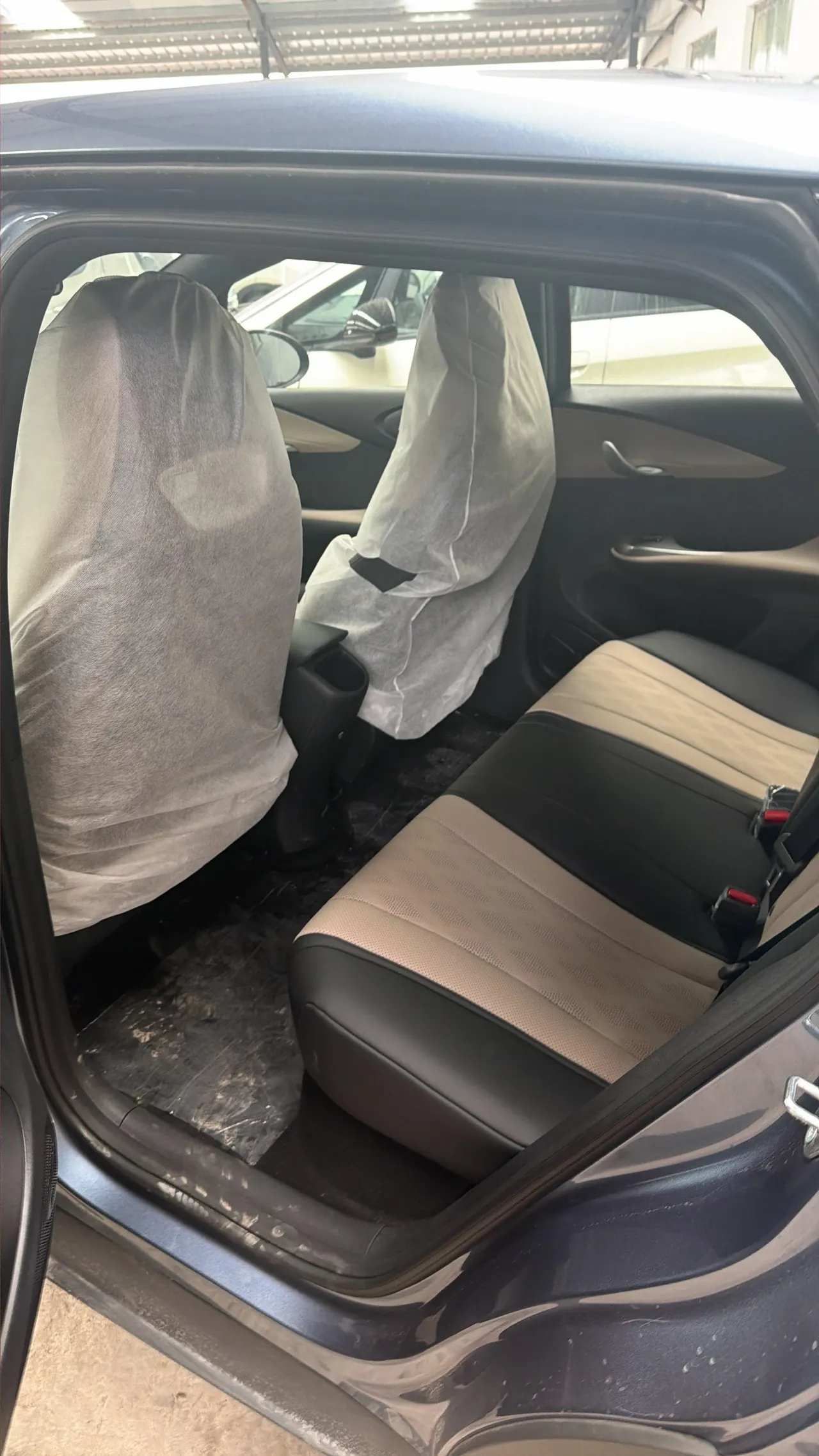 BYD 2025 Dolphins 420km Free Edition Automatic 4