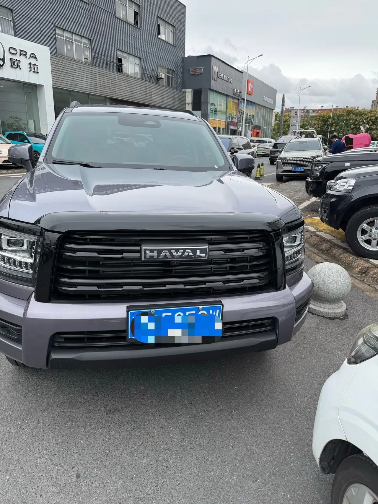 Haval 2025 H5 2.0T 4-wheel drive diesel pilot version automatic gear 4
