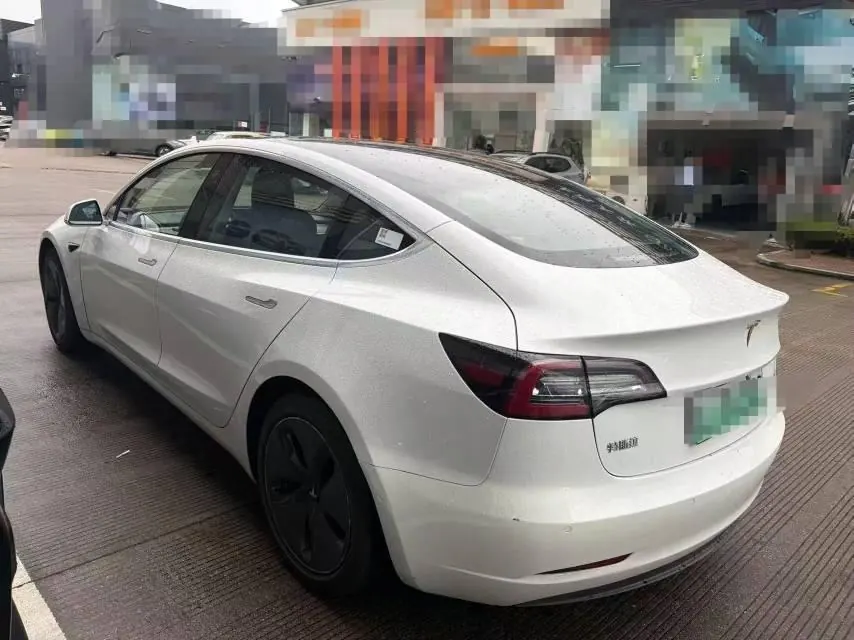Tesla 2020 Model 3 Standard Endurance Rear Drive Upgraded Automatic Gear 4