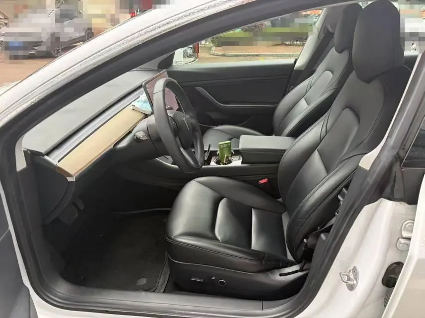 Tesla 2020 Model 3 Standard Endurance Rear Drive Upgraded Automatic Gear 5
