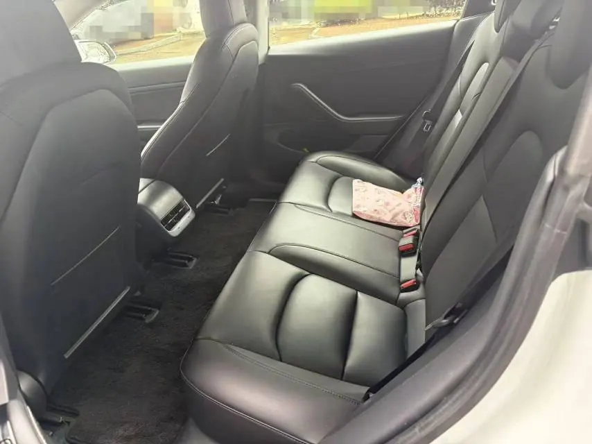 Tesla 2020 Model 3 Standard Endurance Rear Drive Upgraded Automatic Gear 6