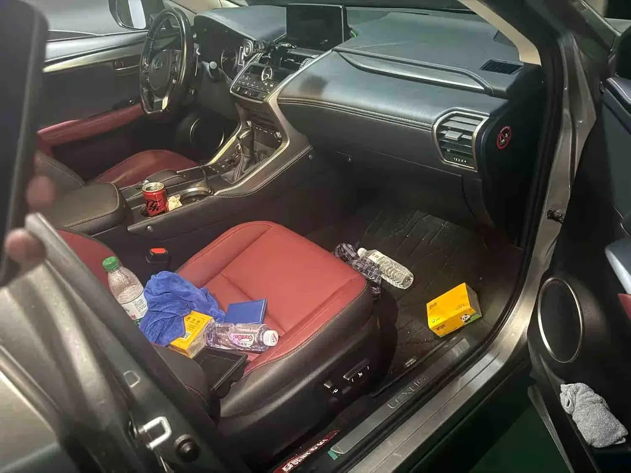Lexus NX (Imported) 2020 NX200 2.0 Stepless Front Edition Automatic Gear 5