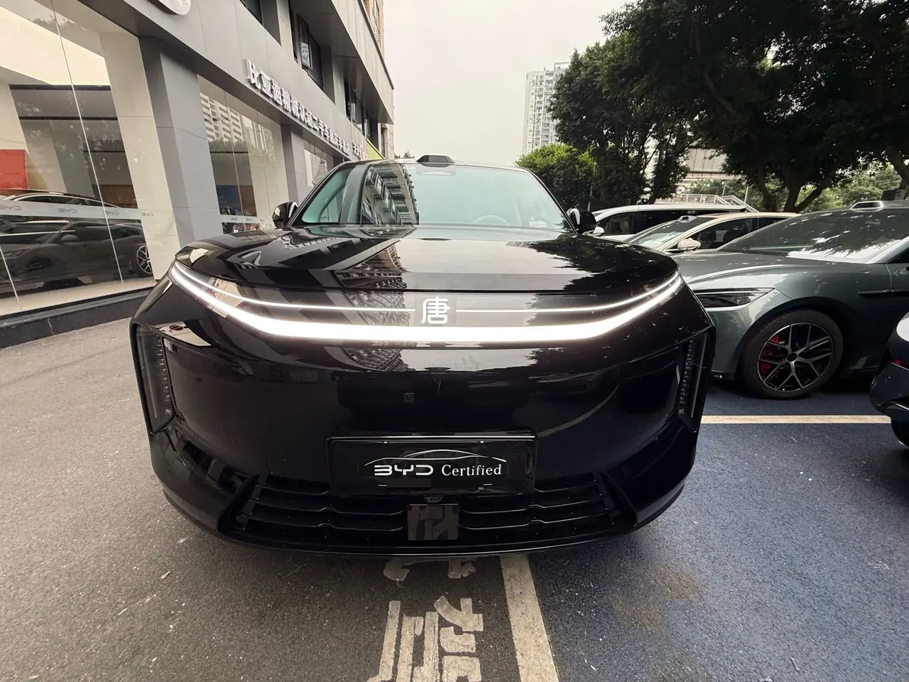 BYD 2026 Datang EV 850KM Four-wheel Drive Prosperity Edition Automatic Gear 2