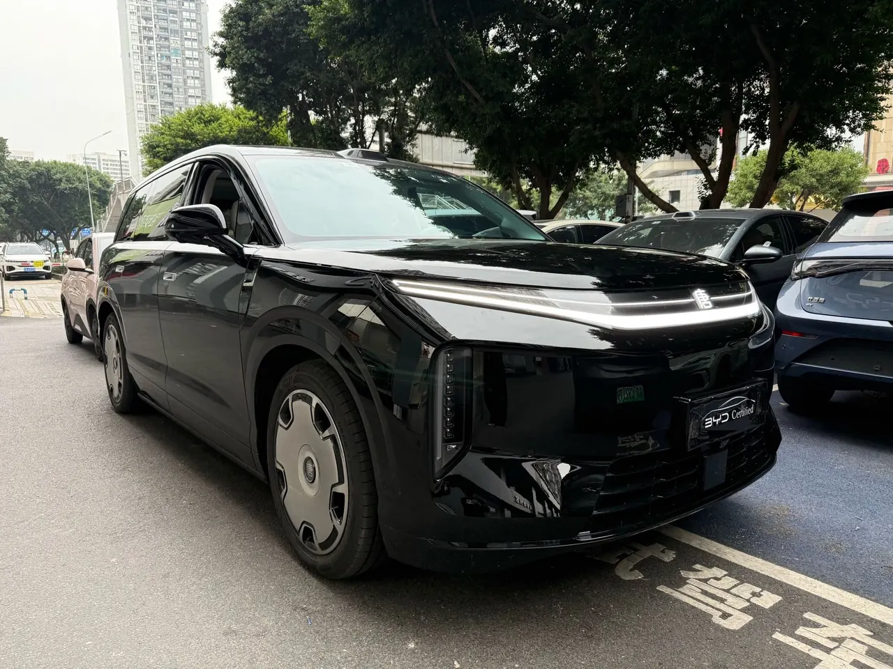 BYD 2026 Datang EV 850KM Four-wheel Drive Prosperity Edition Automatic Gear 3