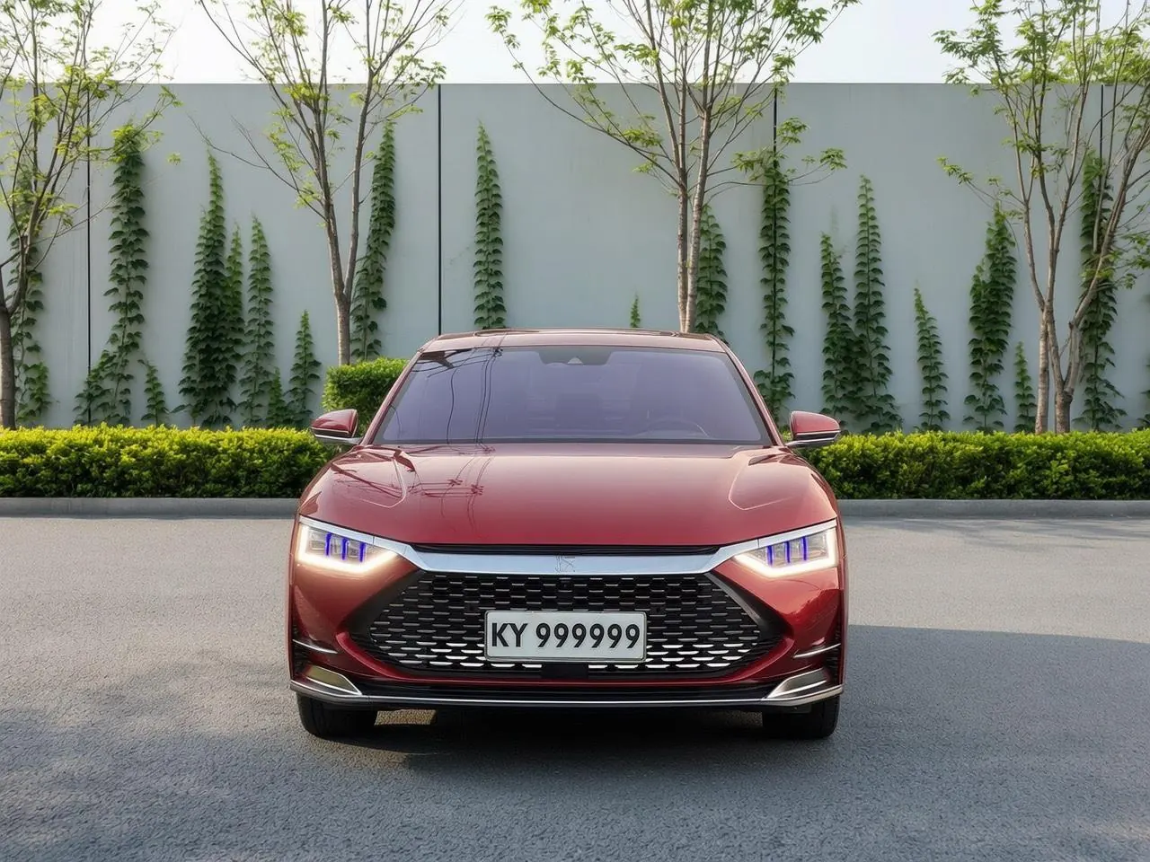 BYD 2020 Han DM 2.0T four-wheel drive performance version luxury automatic gear 2