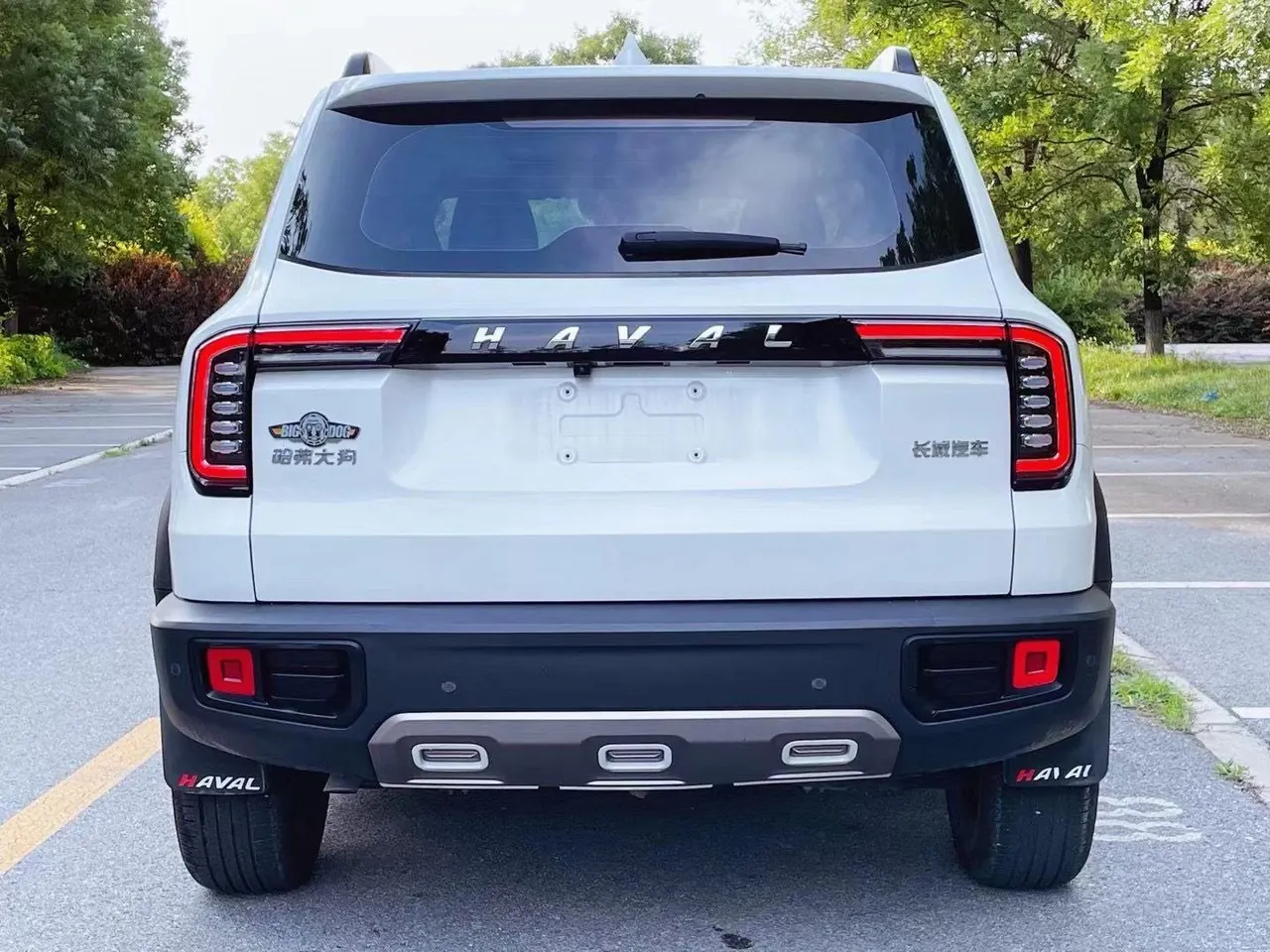Haval 2021 Big Dogs 1.5T Border Animal Husbandry Wangcai Edition Automatic Gear 2
