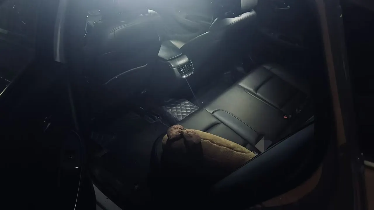 Chevrolet 2021 Malibu XL 1.5T 535T Sharp Edition Automatic Gear 7
