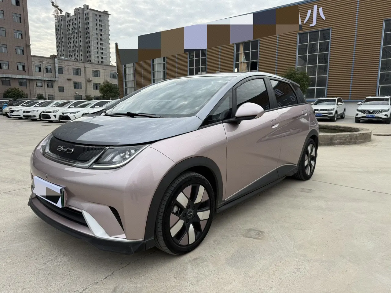 BYD 2021 Dolphin 405km Fashion Edition Automatic - View 1