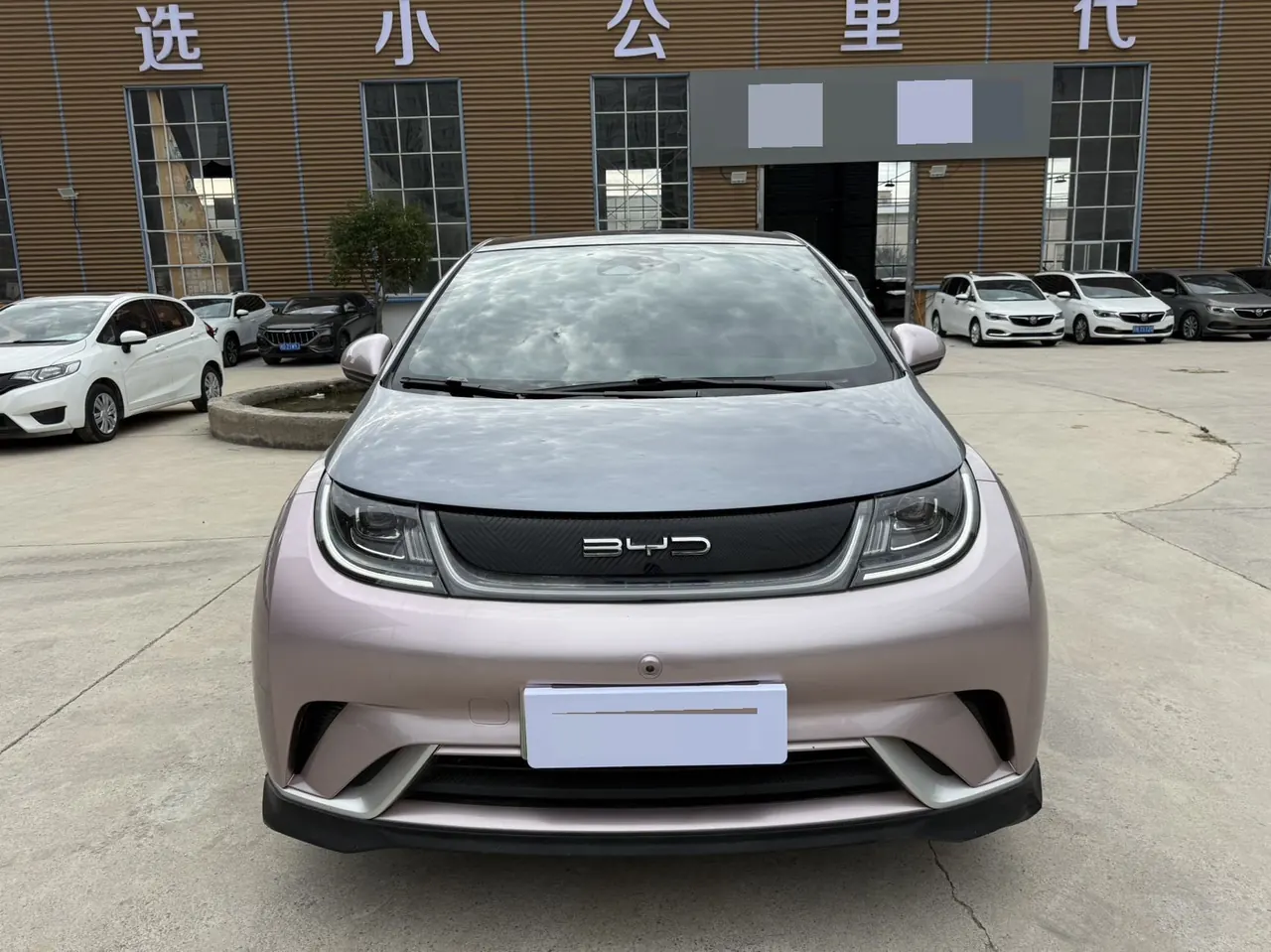 BYD 2021 Dolphin 405km Fashion Edition Automatic 2