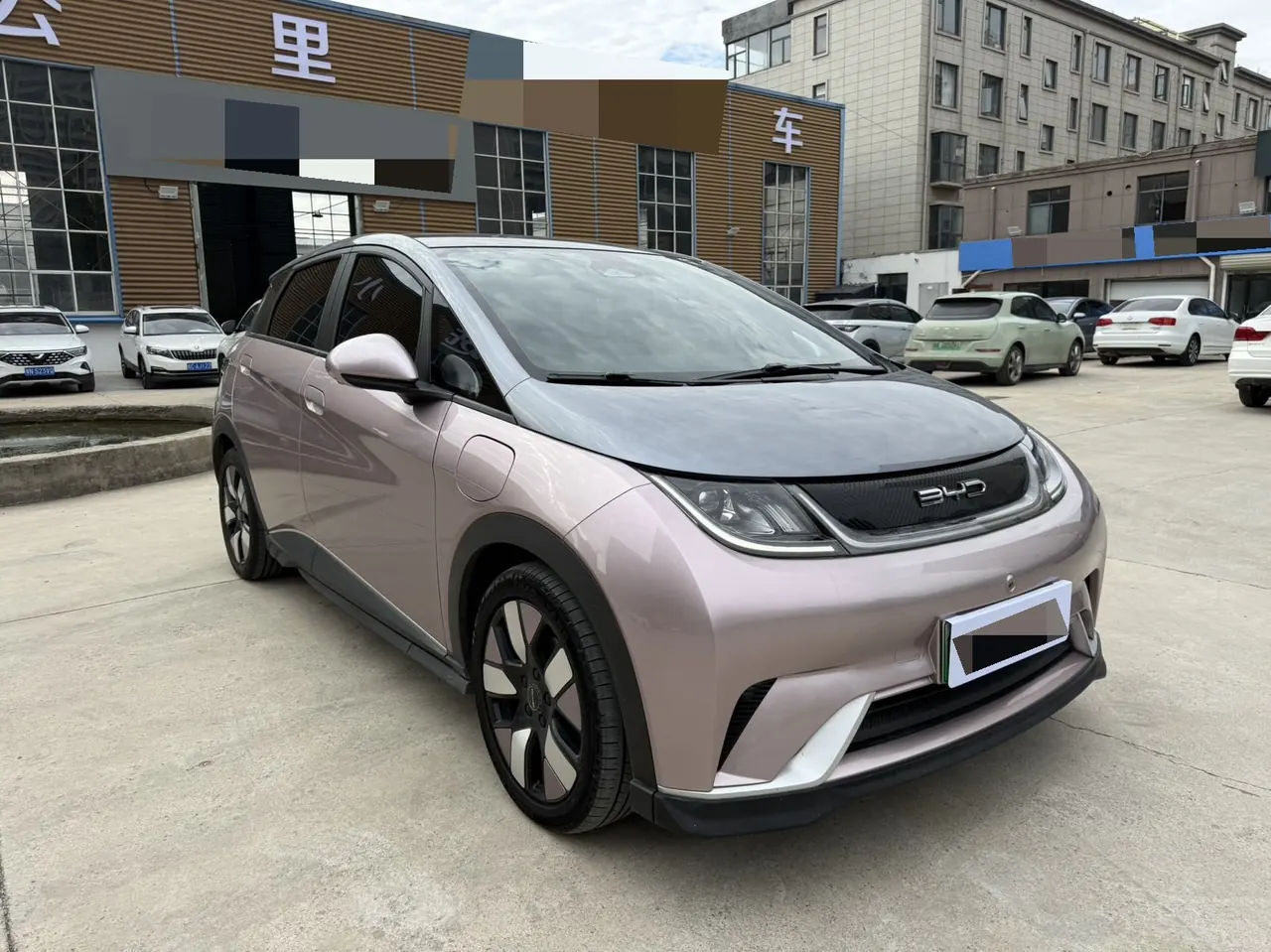 BYD 2021 Dolphin 405km Fashion Edition Automatic 3