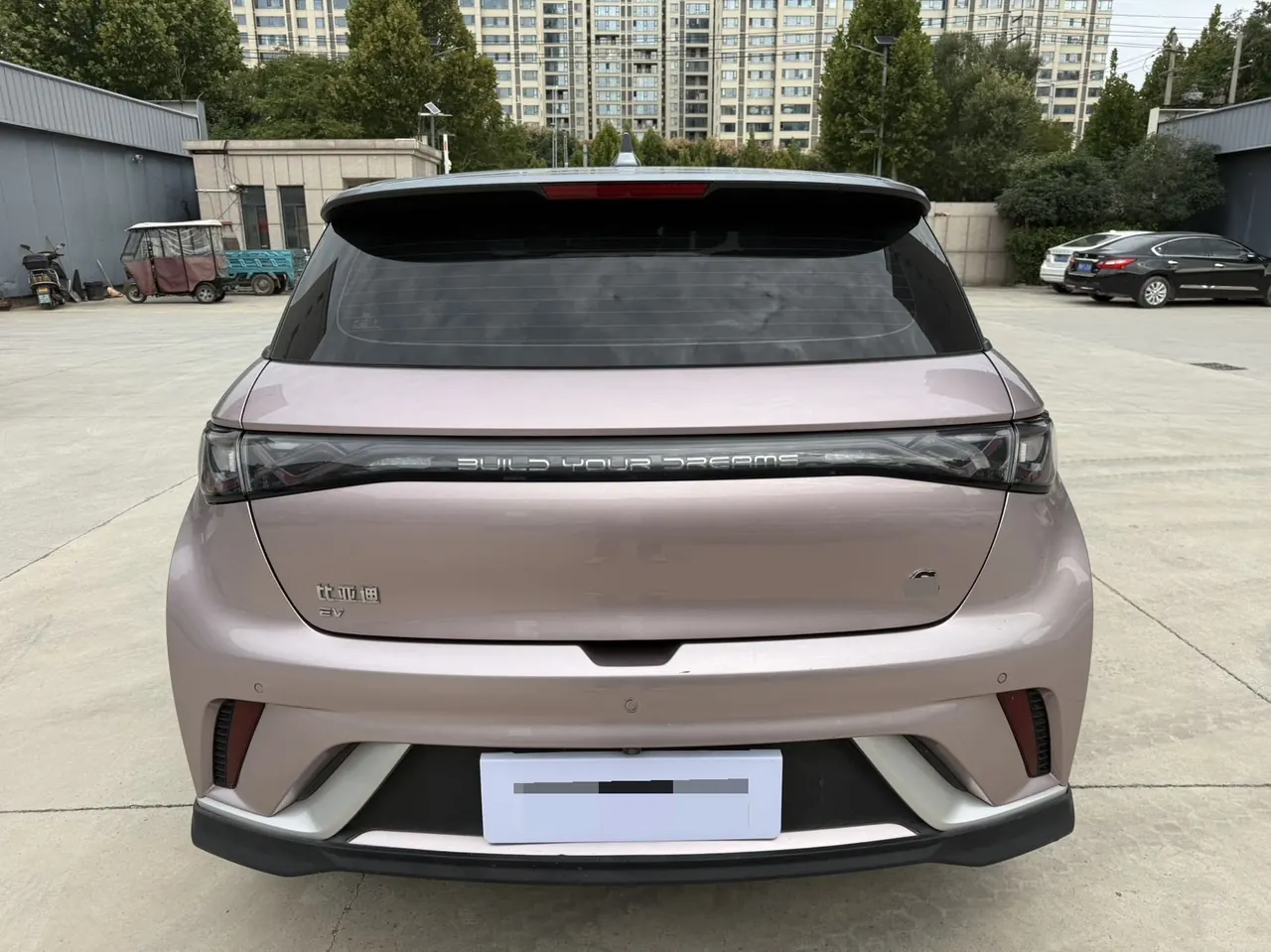 BYD 2021 Dolphin 405km Fashion Edition Automatic 4