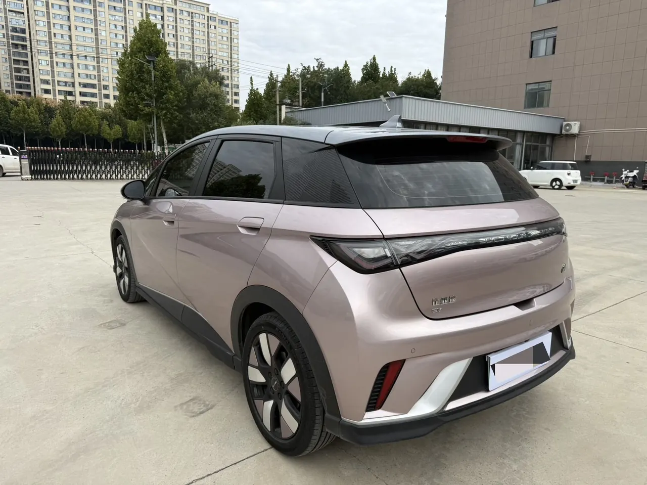 BYD 2021 Dolphin 405km Fashion Edition Automatic 5