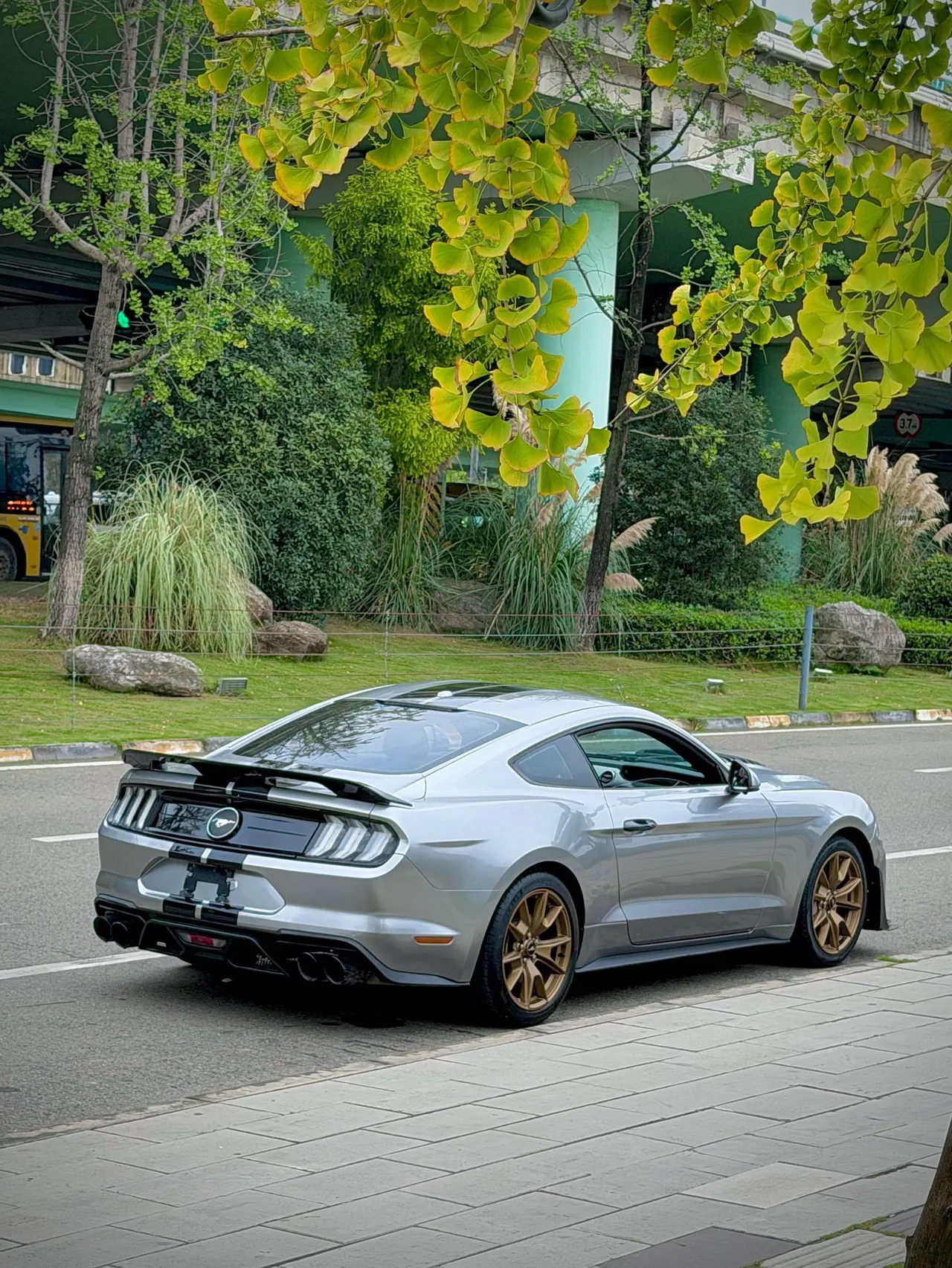 Ford Yema (Imported) 2020 Yema S 2.3T EcoBoost Shadow Performance Advanced Edition Automatic Gear 10