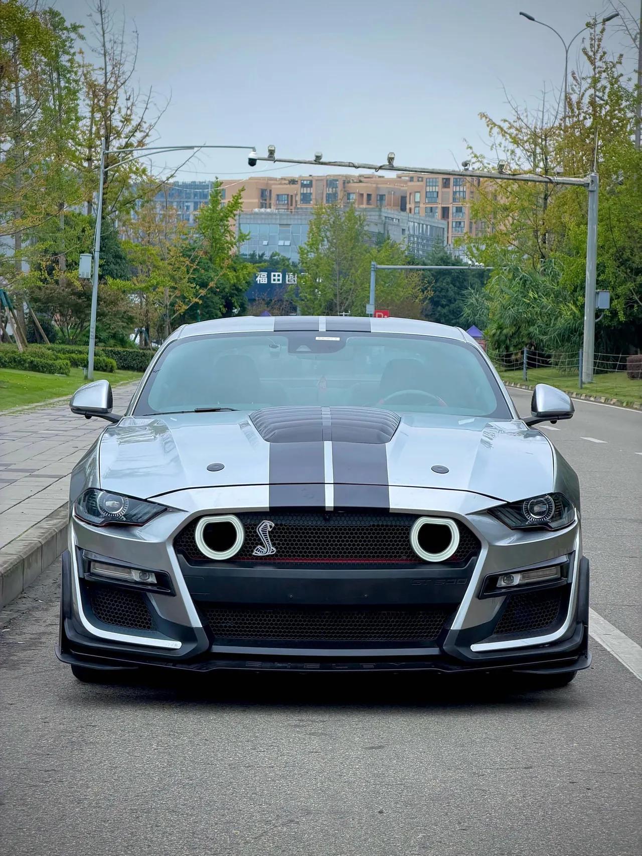 Ford Yema (Imported) 2020 Yema S 2.3T EcoBoost Shadow Performance Advanced Edition Automatic Gear 2