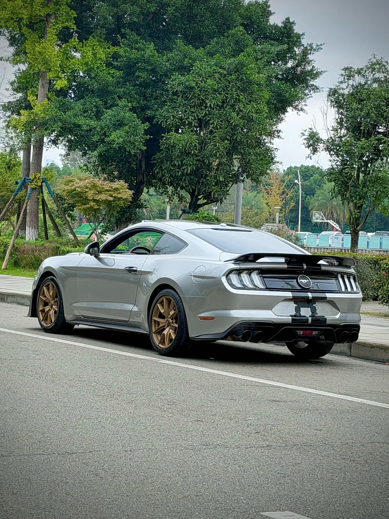 Ford Yema (Imported) 2020 Yema S 2.3T EcoBoost Shadow Performance Advanced Edition Automatic Gear 8