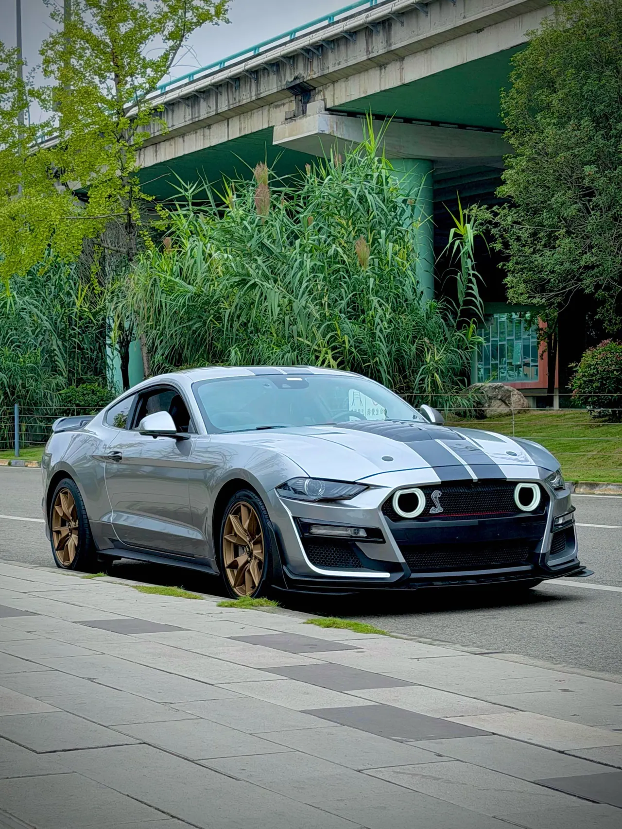 Ford Yema (Imported) 2020 Yema S 2.3T EcoBoost Shadow Performance Advanced Edition Automatic Gear 9