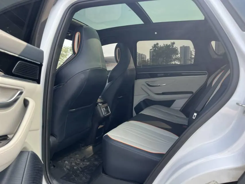 BYD Song PLUS New Energy 2021 Song PLUS EV Honorable Automatic Gear 6