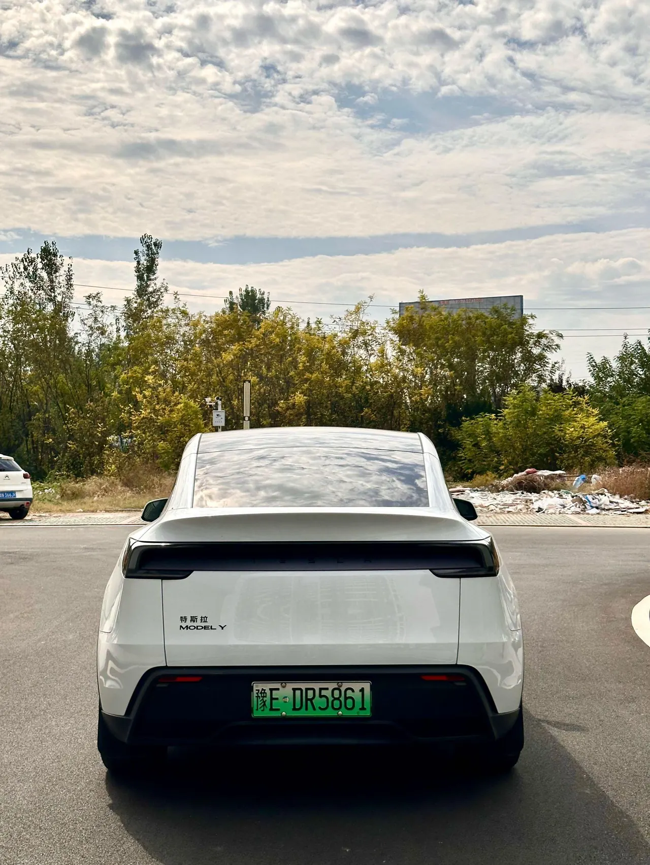 Tesla 2026 Model Y Rear-Wheel-Drive Automatic 4