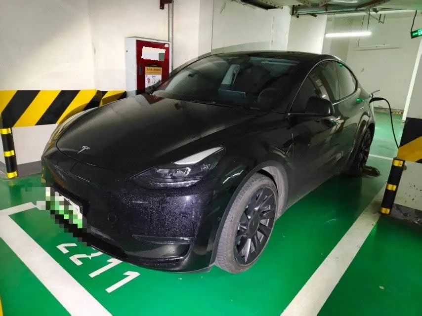 Tesla 2021 Model Y Standard Endurance Rear Drive Automatic Gear - View 1
