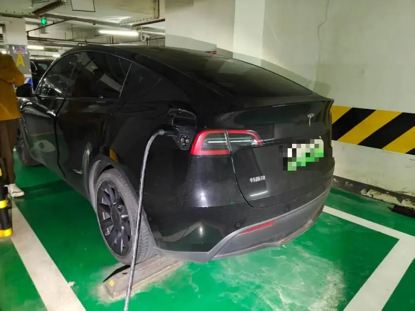 Tesla 2021 Model Y Standard Endurance Rear Drive Automatic Gear 3