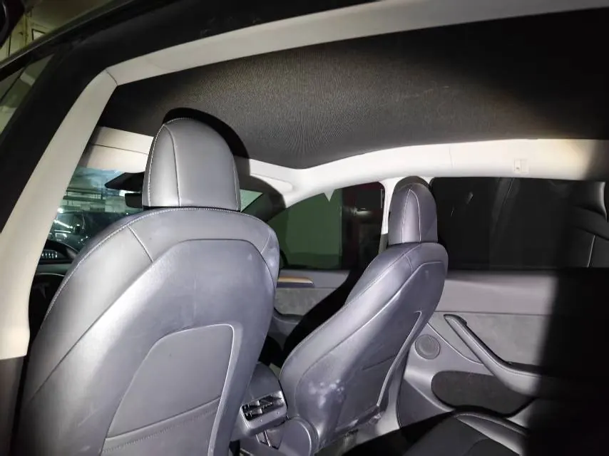 Tesla 2021 Model Y Standard Endurance Rear Drive Automatic Gear 8