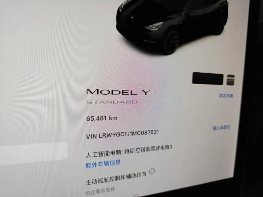 Tesla 2021 Model Y Standard Endurance Rear Drive Automatic Gear 9