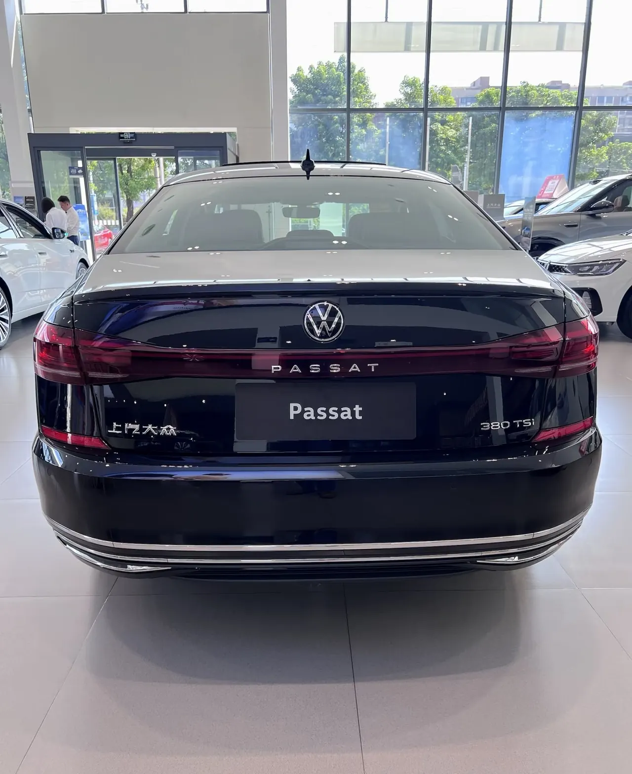 Volkswagen 2026 Passat 2.0TSI 380TSI outstanding star dragon version automatic gear 2