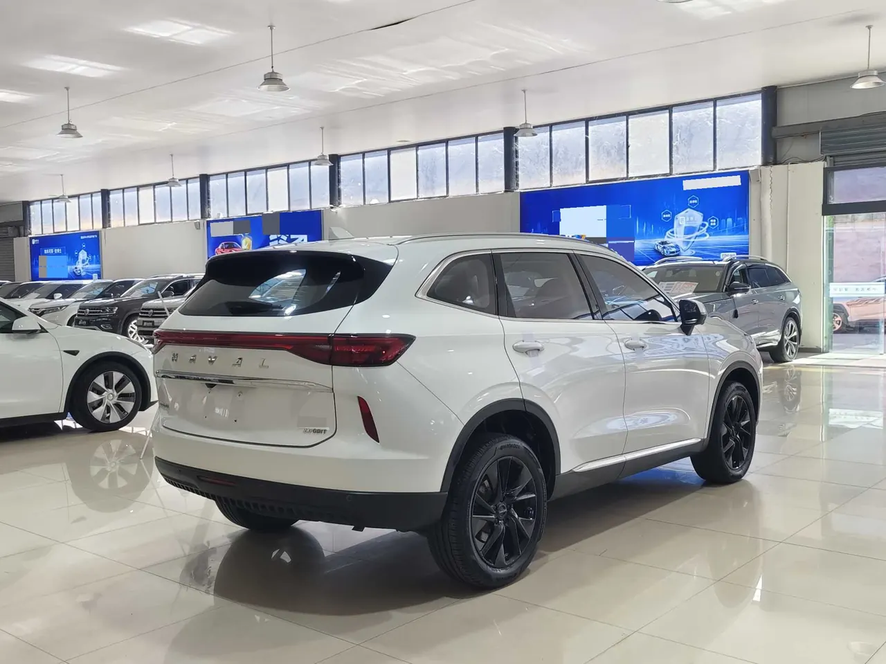 Haver 2021 H6 2.0GDIT Two-Drive MaxAutomatic 9