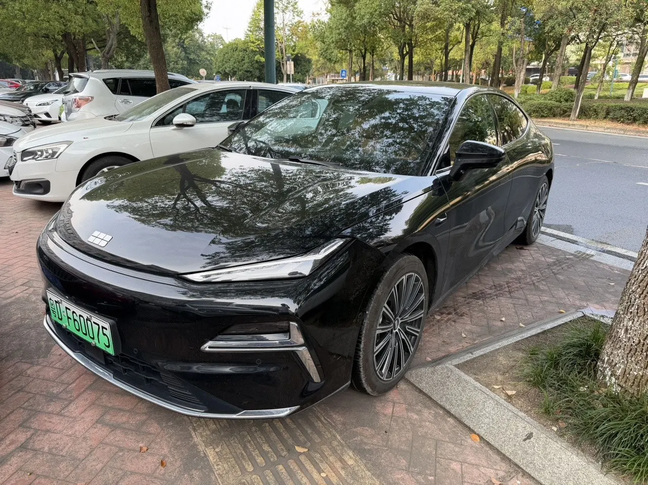 Geely Galaxy 2025 xingyao 8 EM-i 1.5 130km flagship automatic gear - View 1