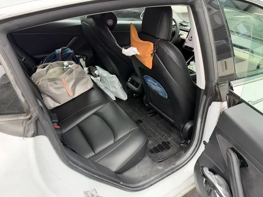 Tesla 2020 Model 3 Standard Endurance Rear Drive Upgraded Automatic Gear 5