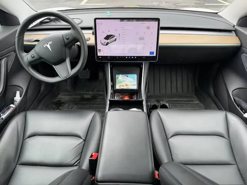 Tesla 2020 Model 3 Standard Endurance Rear Drive Upgraded Automatic Gear 6